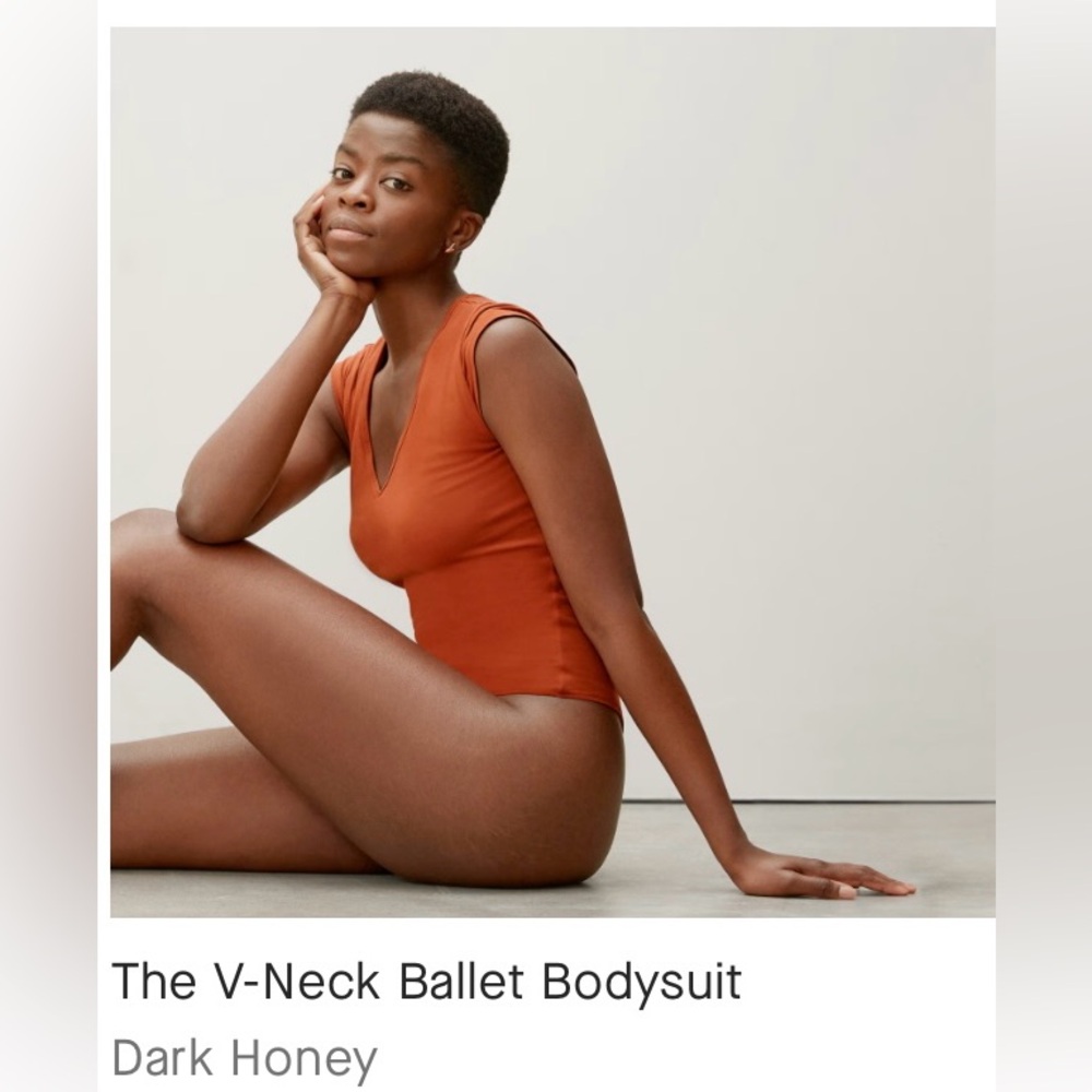 Everlane VNeck Ballet Bodysuit NWT Sz:M